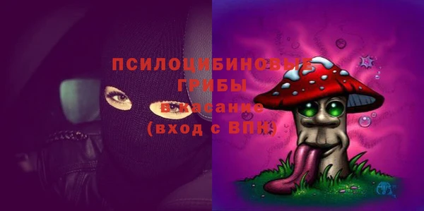 экстази Богородицк
