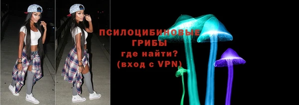 экстази Богородицк