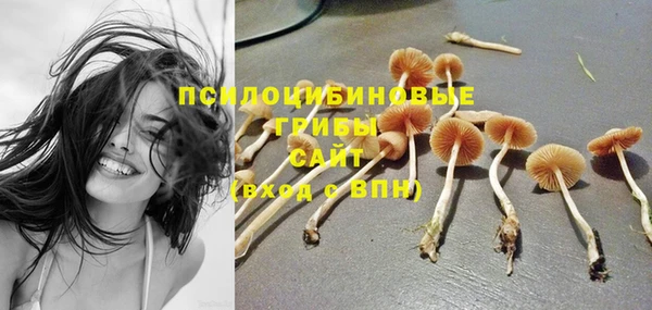 экстази Богородицк