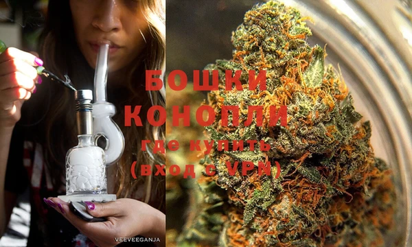 стаф Богородск