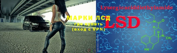 стаф Богородск
