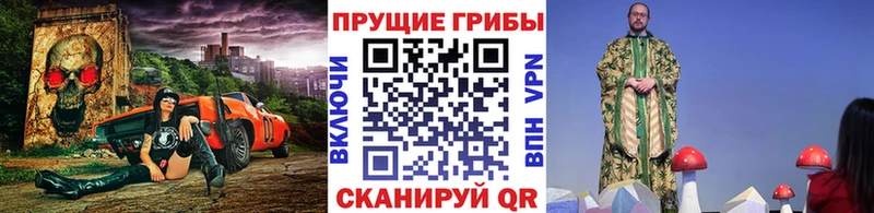 купить   Тверь  Галлюциногенные грибы Psilocybe 