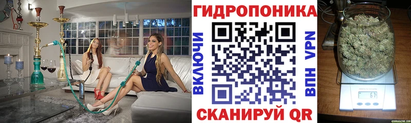 Шишки марихуана план Тверь
